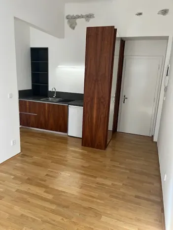 Pronájem bytu 2+kk, Praha - Vinohrady, Budečská, 45 m2