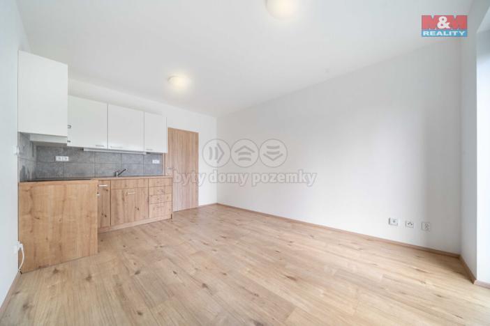 Pronájem bytu 1+kk, Třemošná, Školní, 32 m2