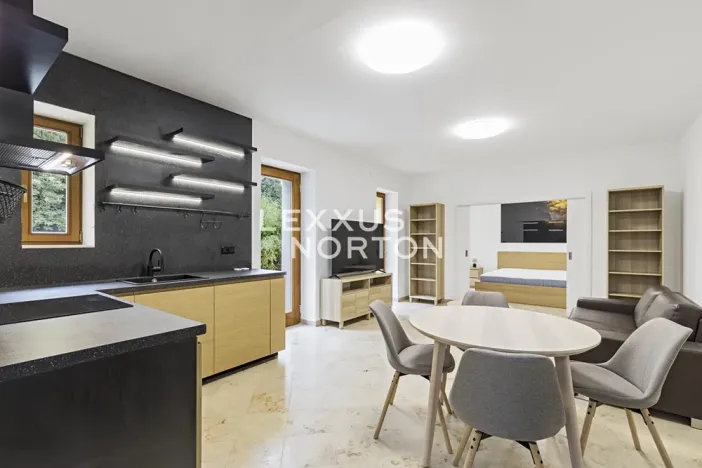 Pronájem bytu 2+kk, Praha - Bubeneč, Mlýnská, 58 m2