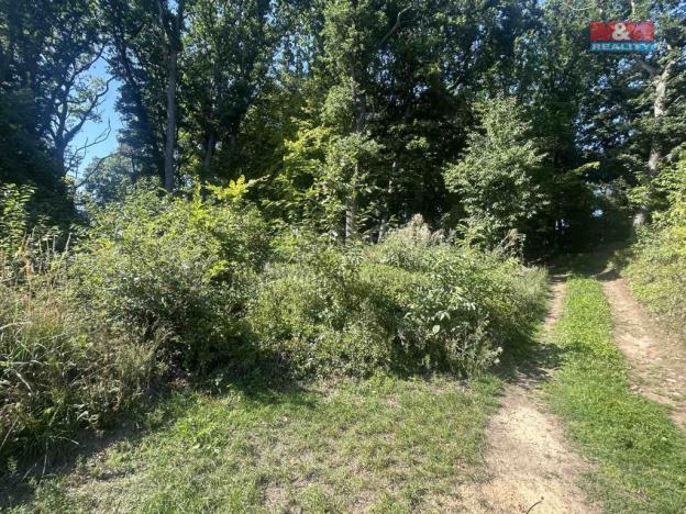 Prodej lesa, Vysoká Pec - Drmaly, 4812 m2