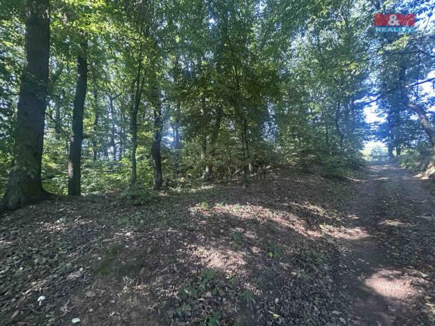 Prodej lesa, Vysoká Pec - Drmaly, 4812 m2