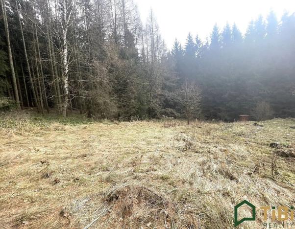 Prodej pozemku pro bydlení, Gruna, 1753 m2