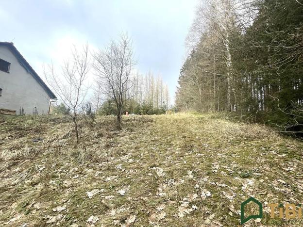 Prodej pozemku pro bydlení, Gruna, 1753 m2