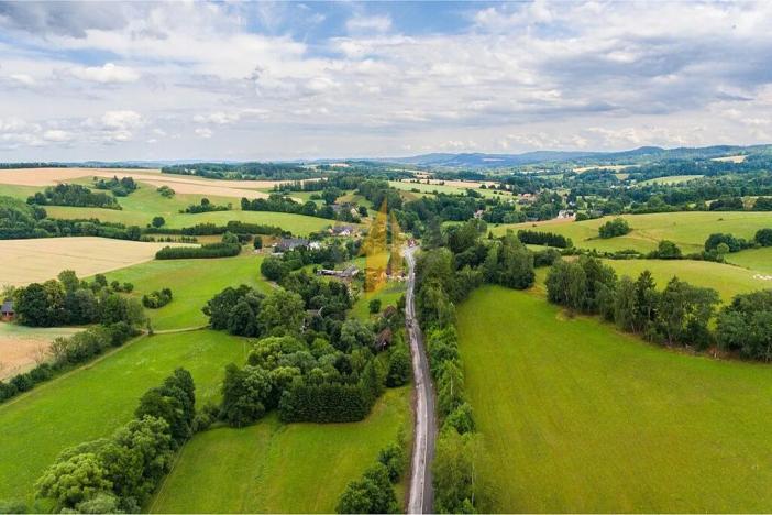 Prodej pole, Horní Olešnice, 153952 m2