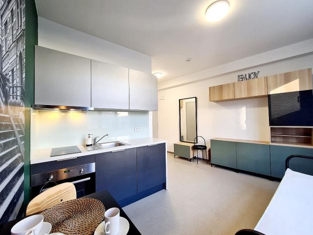 Pronájem bytu 1+kk, Brno, Dominikánské náměstí, 20 m2
