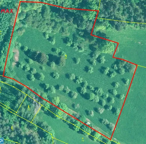 Prodej sadu/vinice, Miloňovice, 18431 m2