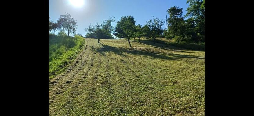 Prodej zahrady, Bařice-Velké Těšany, 1544 m2