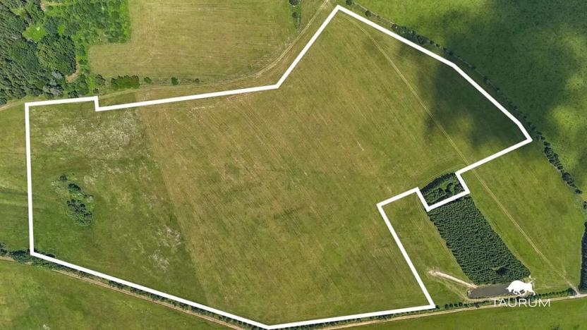 Prodej louky, Chudenín, 139968 m2