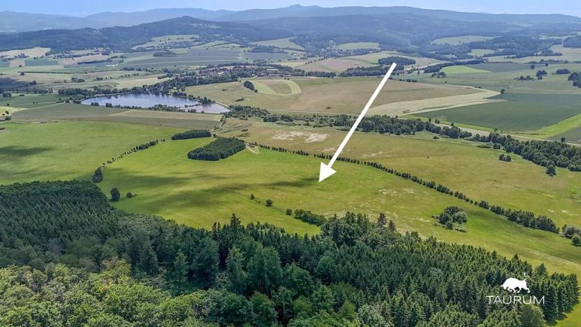 Prodej louky, Chudenín, 139968 m2