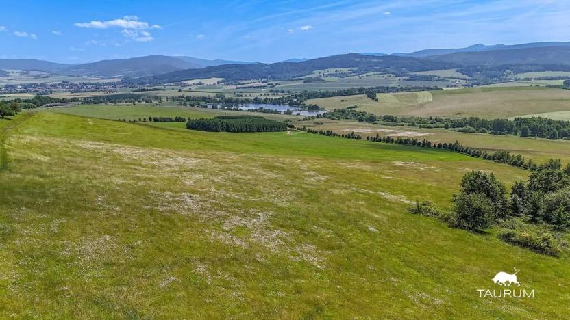 Prodej louky, Chudenín, 139968 m2