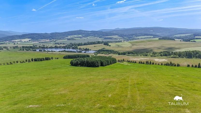 Prodej louky, Chudenín, 139968 m2