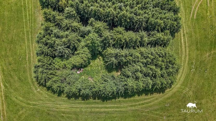 Prodej louky, Chudenín, 139968 m2