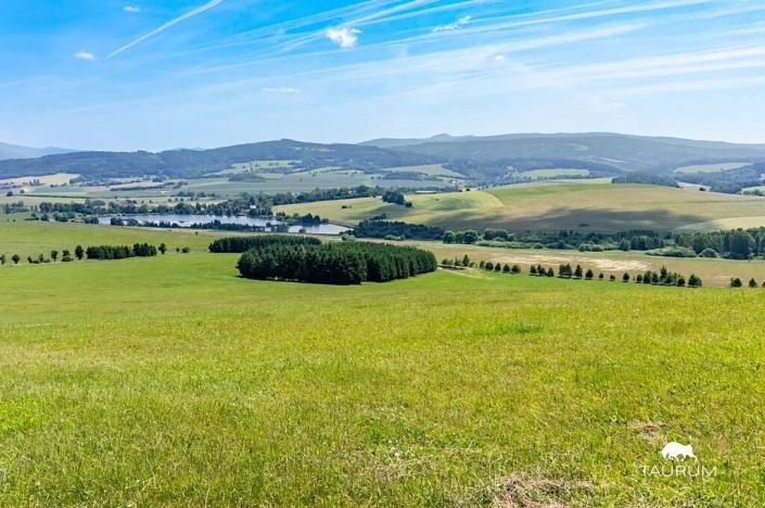 Prodej louky, Chudenín, 139968 m2