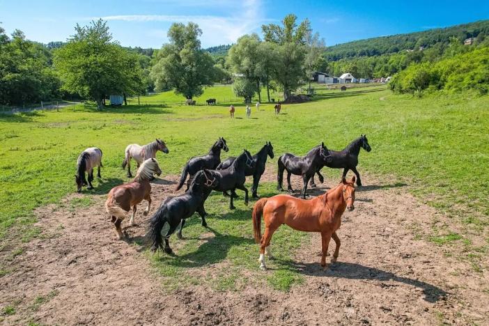 Prodej zemědělského objektu, Buchlovice, Trnávky, 1603 m2