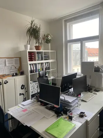 Pronájem kanceláře, Praha - Nové Město, Opletalova, 53 m2