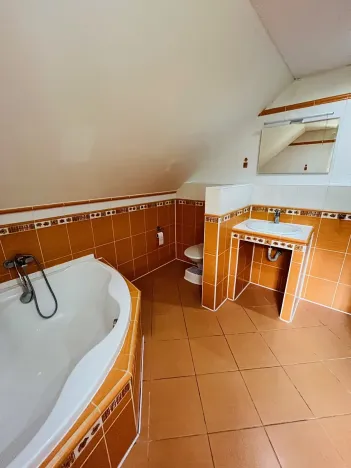 Prodej rodinného domu, Prackovice nad Labem, 190 m2