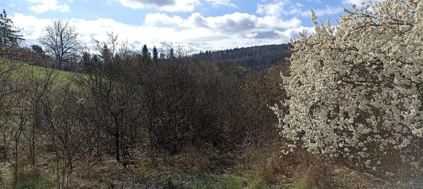 Prodej pozemku pro bydlení, Rosice, 1043 m2