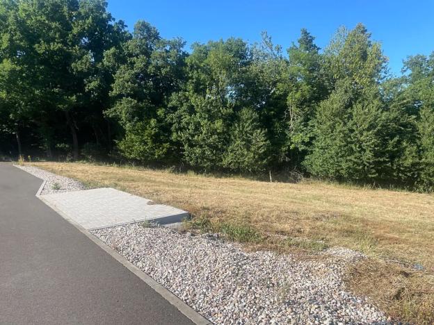 Prodej pozemku pro bydlení, Buš, 1284 m2