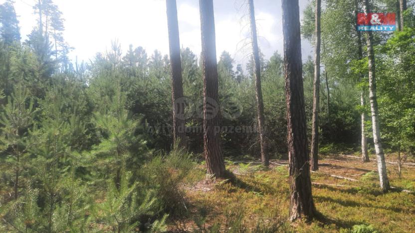 Prodej lesa, Březovice, 108447 m2