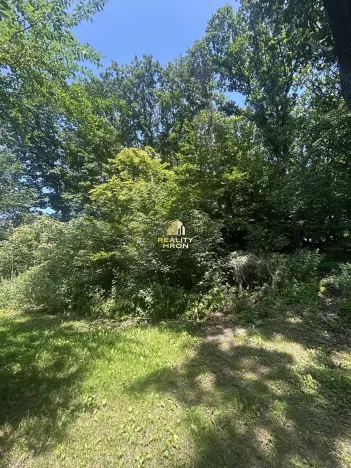 Prodej zahrady, Vysoká Pec, 4812 m2