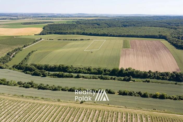 Prodej pole, Bulhary, 7380 m2