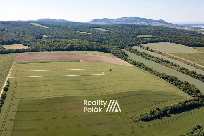 Prodej pole, Bulhary, 7380 m2