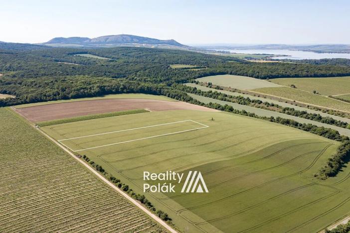 Prodej pole, Bulhary, 7380 m2