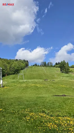 Prodej pozemku pro bydlení, Dolní Morava, 1432 m2