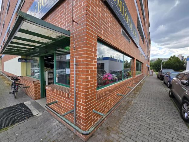 Pronájem obchodního prostoru, České Budějovice, Větrná, 623 m2