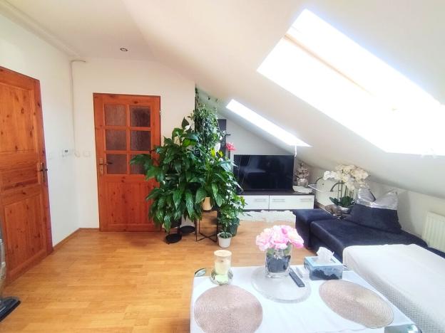 Pronájem bytu 2+kk, Ostrava, Parcelní, 75 m2