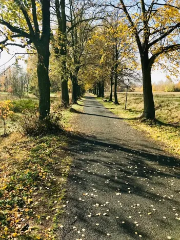 Prodej pozemku pro bydlení, Mimoň, Vranovská, 1409 m2