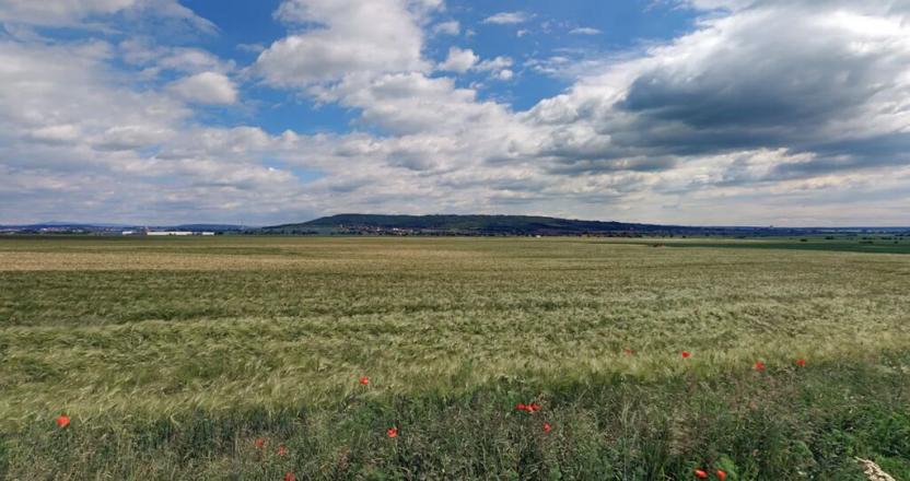 Prodej pole, Brodce, 17233 m2