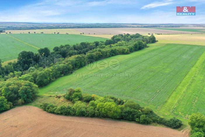 Prodej lesa, Velké Všelisy, 1302 m2