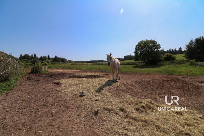Prodej rodinného domu, Kamenná Horka, 273 m2