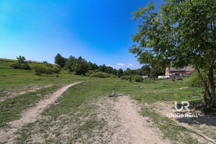 Prodej rodinného domu, Kamenná Horka, 273 m2