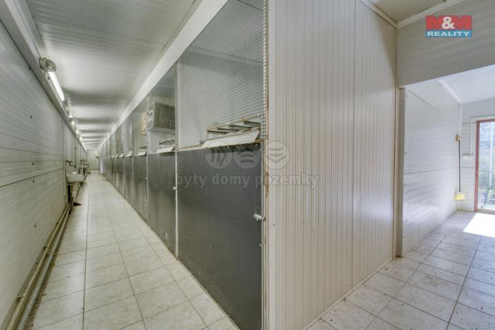 Prodej skladu, Lhůta, 1220 m2