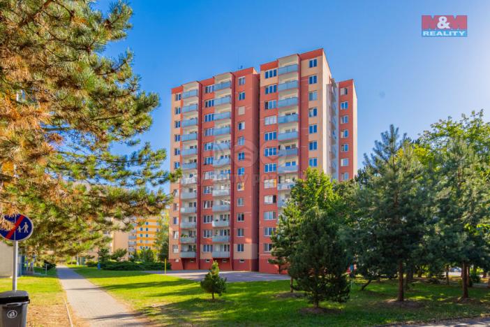 Prodej bytu 3+1, České Budějovice - České Budějovice 2, Netolická, 72 m2