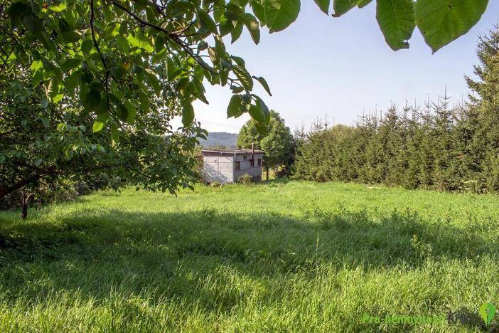 Prodej pozemku pro bydlení, Spálené Poříčí, 4447 m2