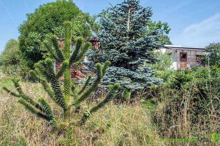 Prodej pozemku pro bydlení, Spálené Poříčí, 4447 m2