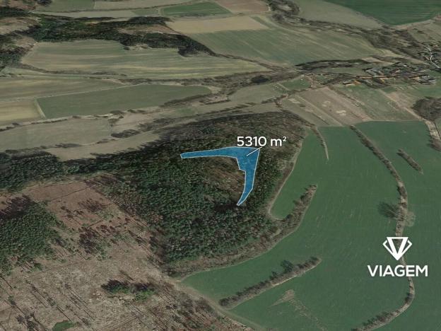 Prodej lesa, Pravonín, 5310 m2
