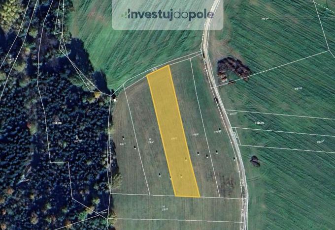 Prodej pole, Střížov, 976 m2
