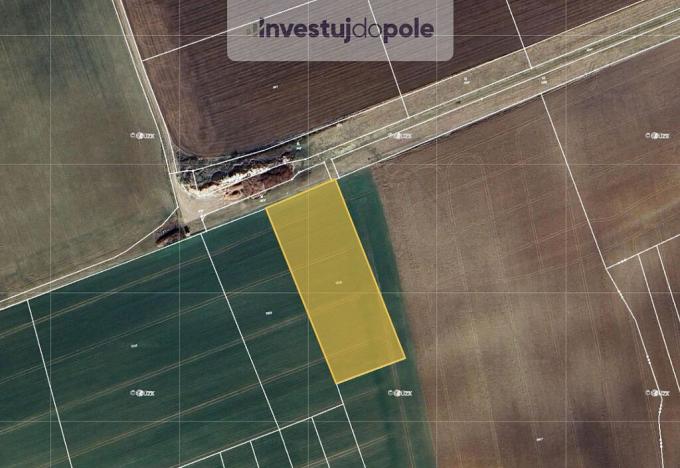 Prodej pole, Smidary - Křičov, 5770 m2