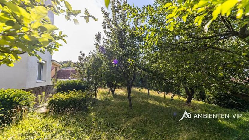 Prodej rodinného domu, Brno, 393 m2