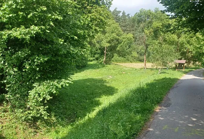 Dražba pozemku, Tuhaň, 11174 m2