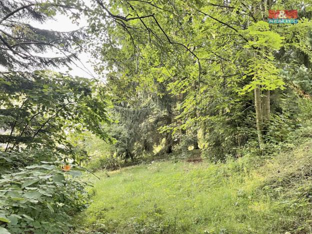 Prodej zahrady, Borová, 594 m2