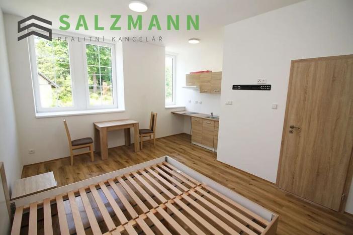 Prodej bytu 1+kk, Bublava, 24 m2