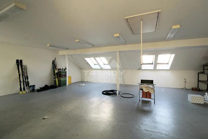 Prodej obchodního prostoru, Plzeň, Pod Všemi svatými, 450 m2