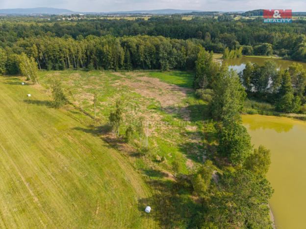 Prodej louky, Františkovy Lázně, 13846 m2