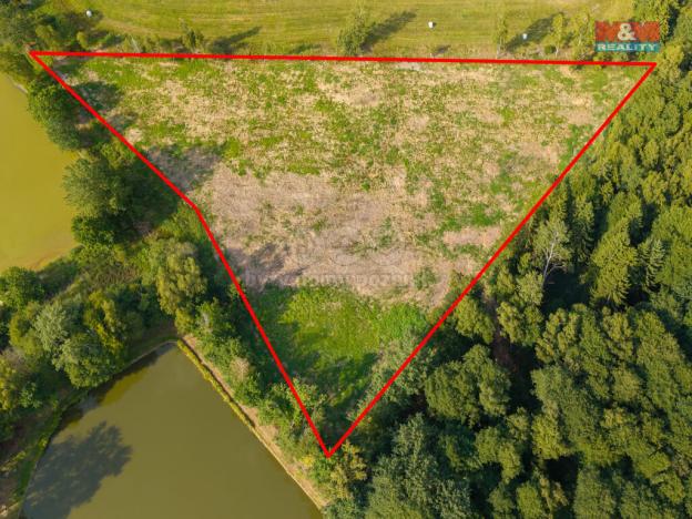 Prodej louky, Františkovy Lázně, 13846 m2