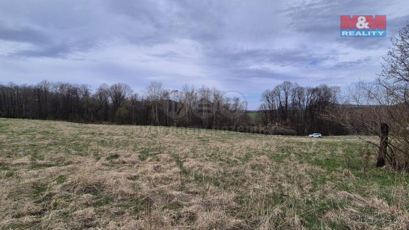 Prodej louky, Česká Kamenice - Dolní Kamenice, 22628 m2